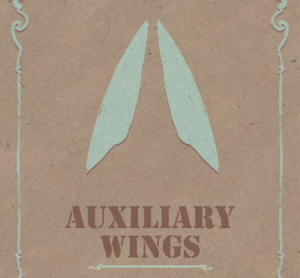 Screenshot 2026-06-10 085008 Auxiliary Wings
