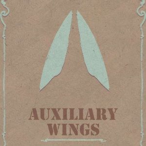 Auxiliary Wings