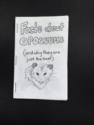 Facts About Opossums - Print