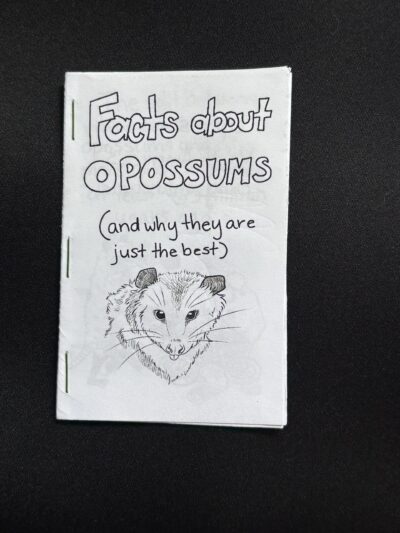 Facts About Opossums - Print
